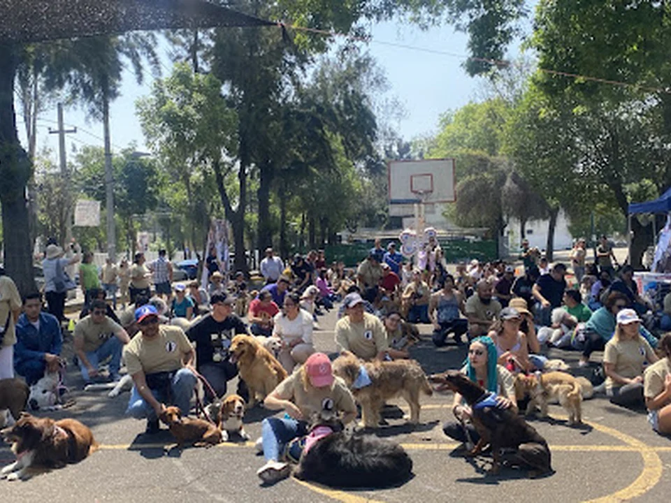 ACA Aprenden los perros
