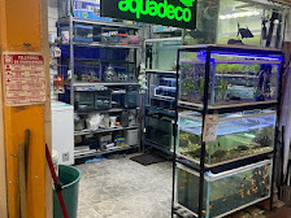 Acuario AquaDeco
