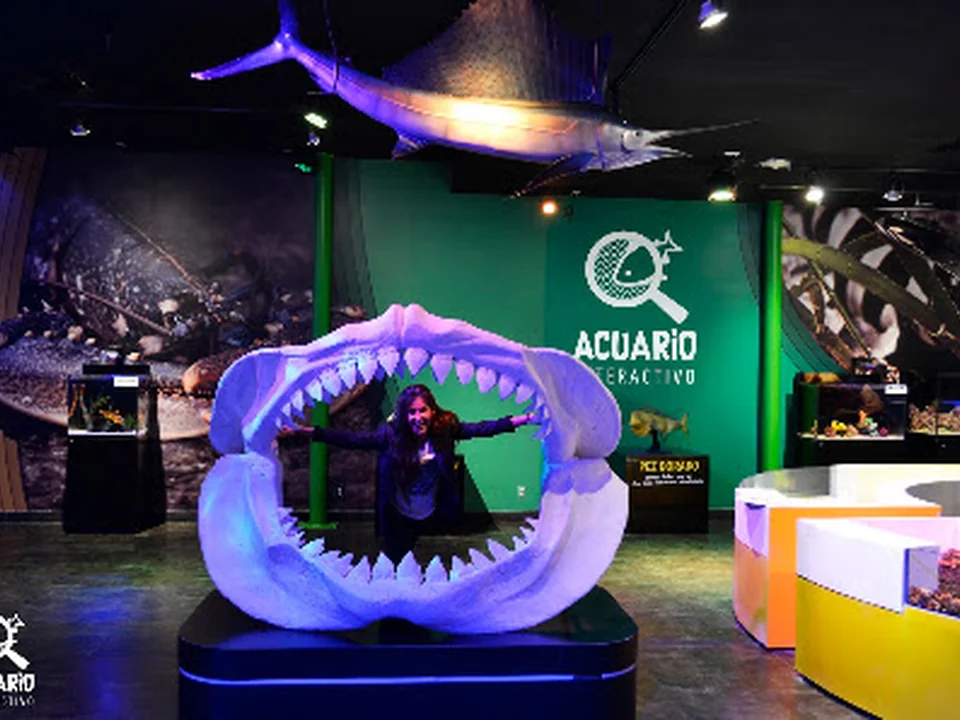Acuario Interactivo