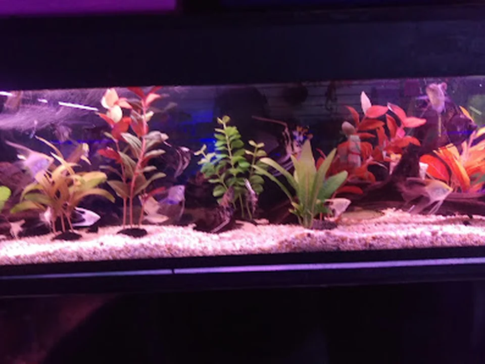 AquaZona