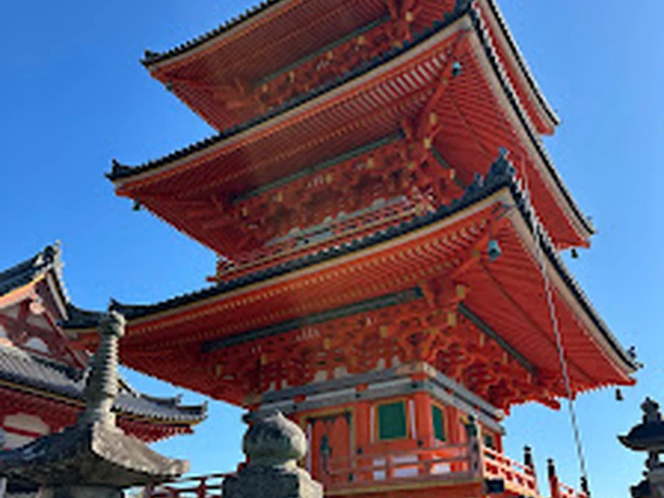 Hayakawa Tours MX