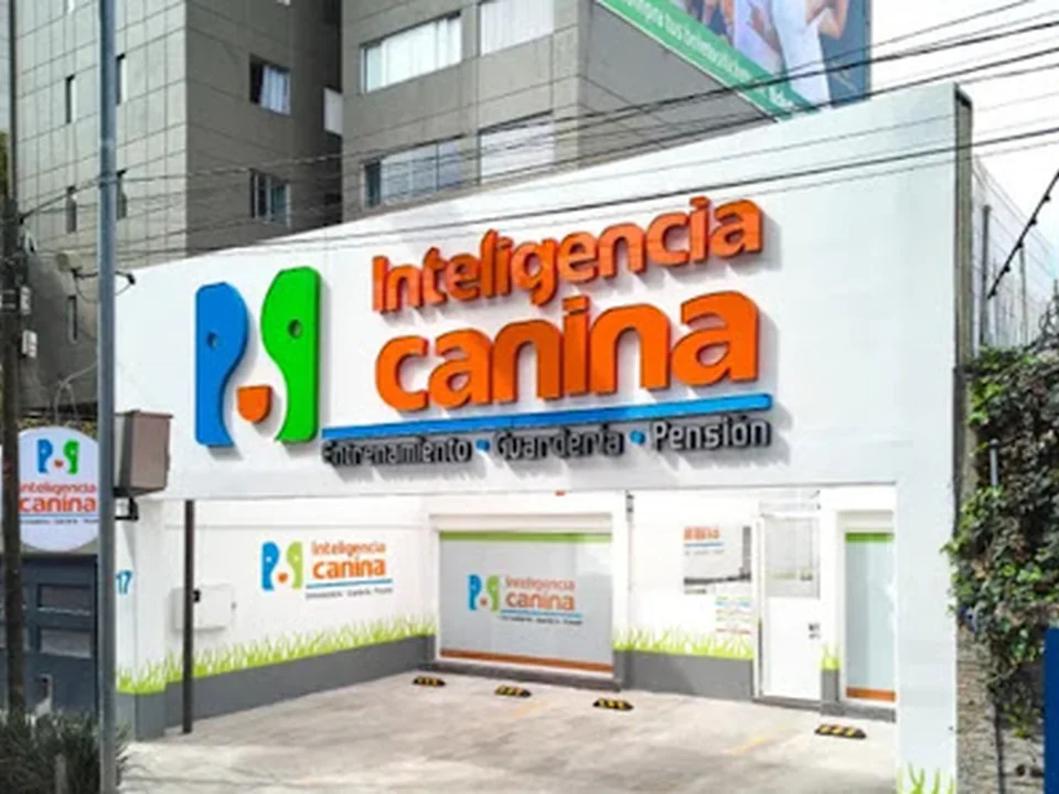 Inteligencia Canina - Barranca del Muerto