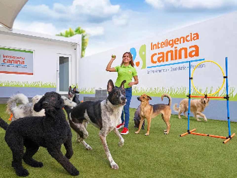 Inteligencia Canina - Del Valle