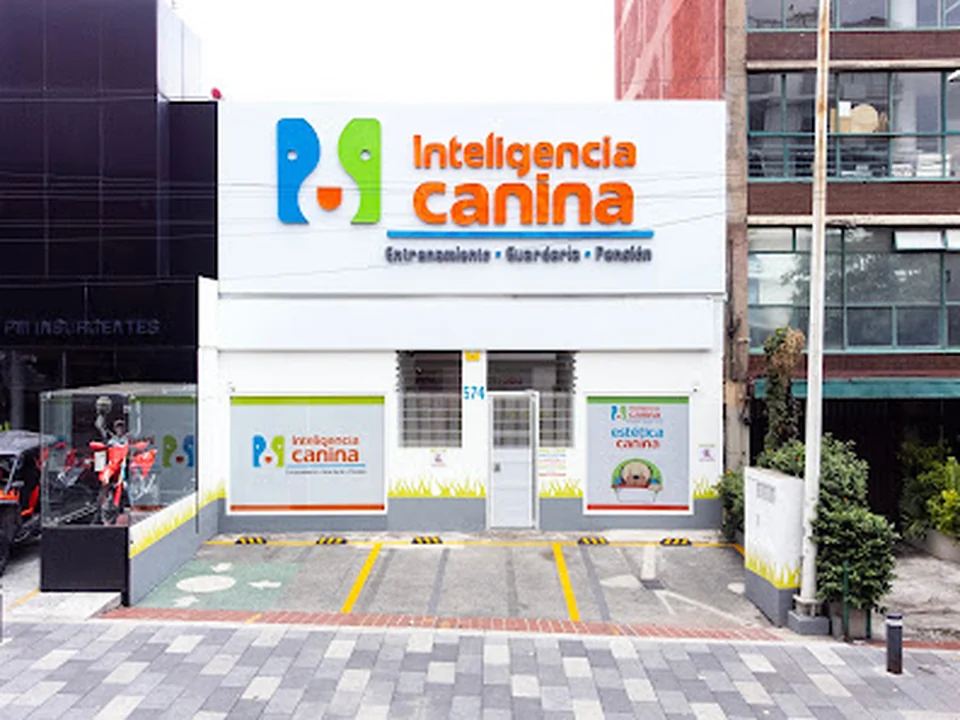 Foto de Inteligencia Canina - Eugenia