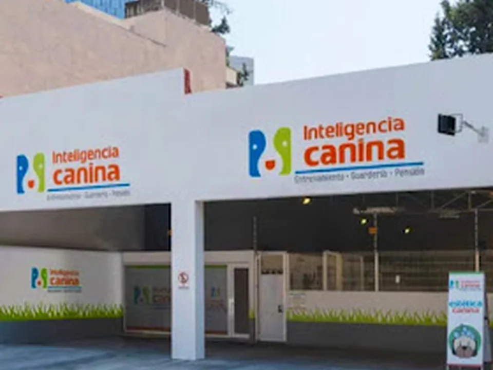 Inteligencia canina - Napoles
