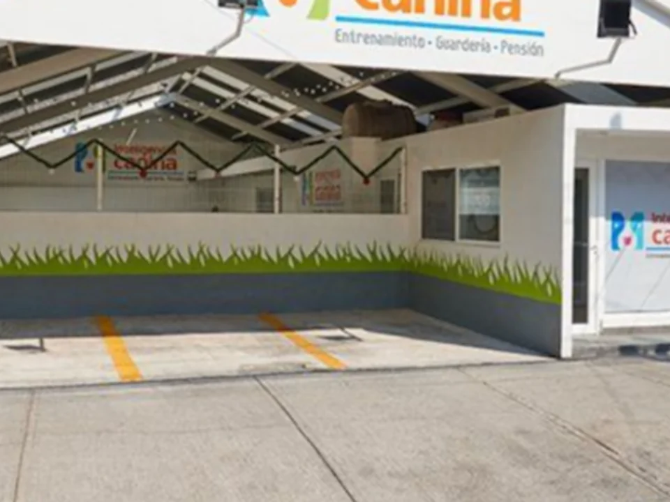 Inteligencia Canina - Plaza Universidad