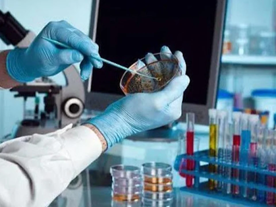 Laboratorio Clínico Centro Histórico