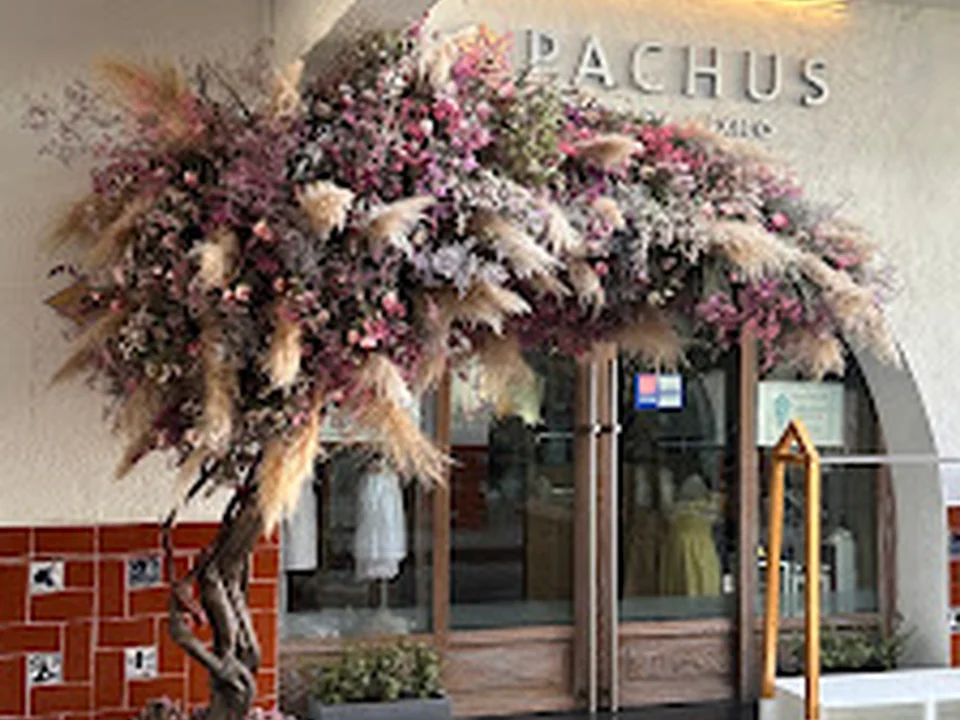 Pasaje Polanco, Masaryk