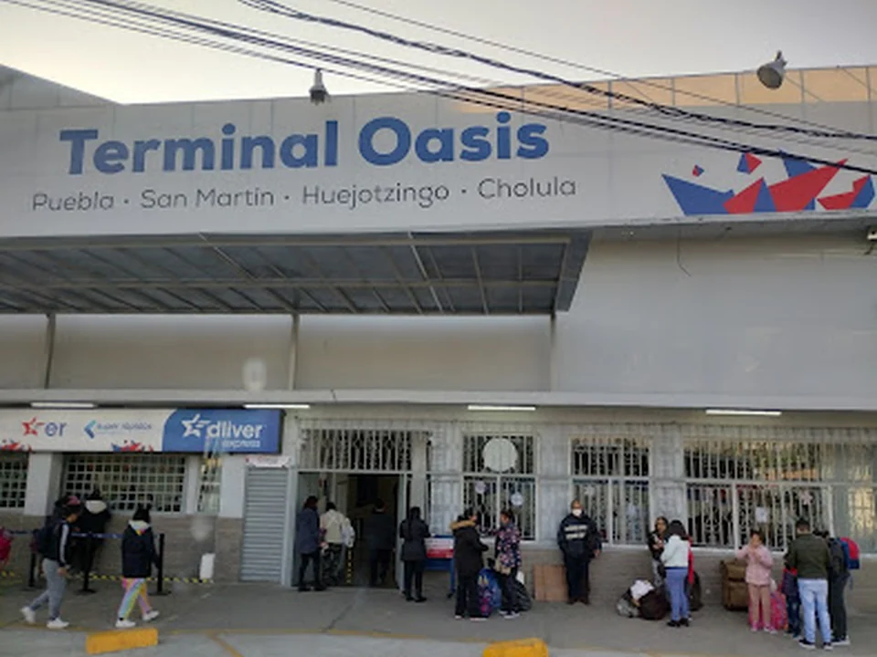 Terminal Oasis