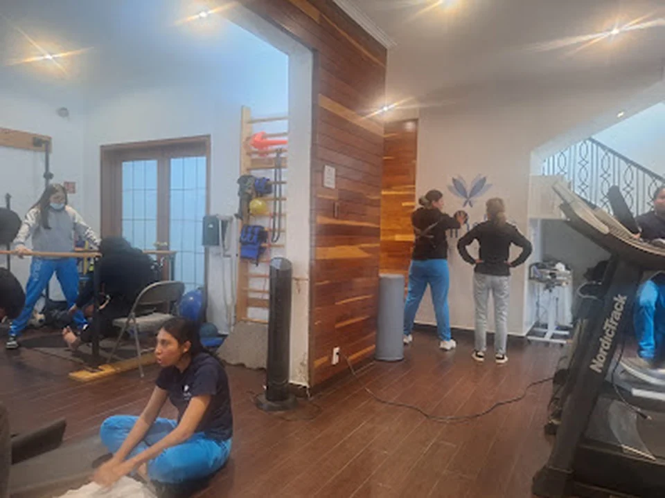 Vlinder Center - Colonia Nápoles - Clínica de Fisioterapia & Fisioterapia a domicilio, Ciudad de México