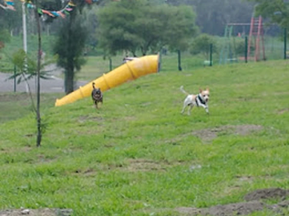 Parque de los Perros Parque Cuitláhuac, Ciudad de México