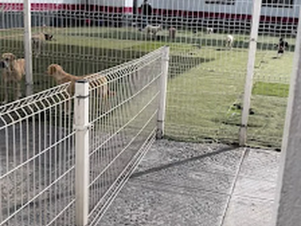 Kinder Can Tacuba, Ciudad de México