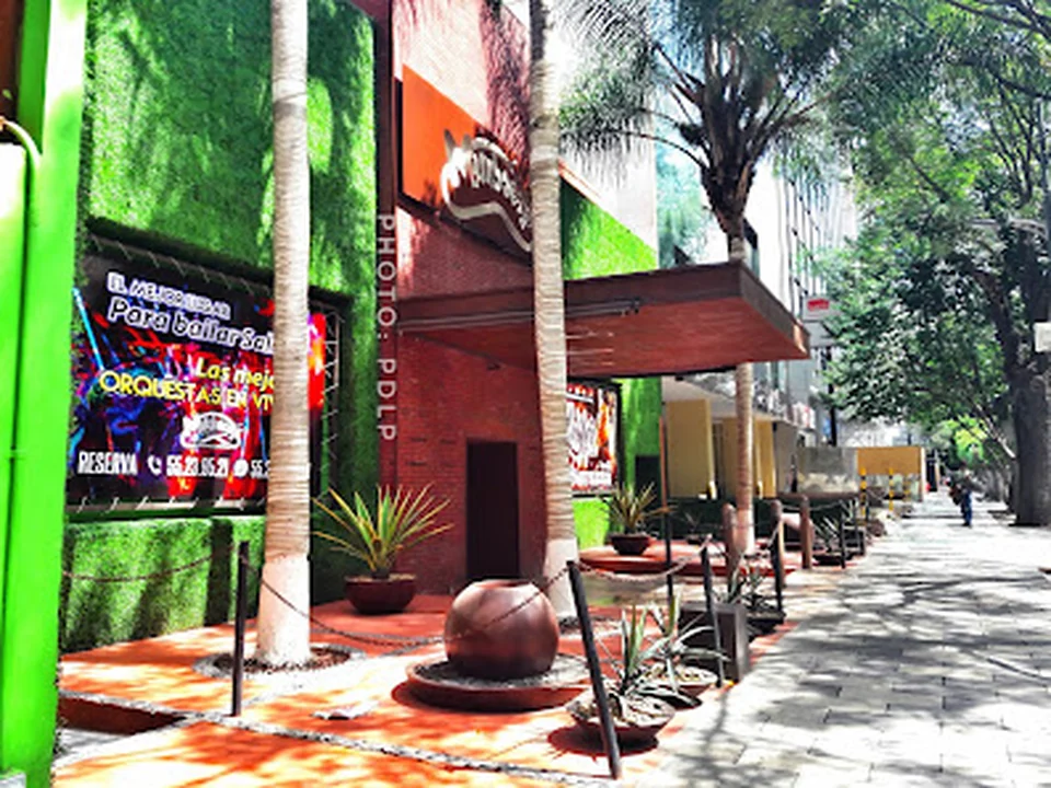 Mambocafé Insurgentes, Ciudad de México