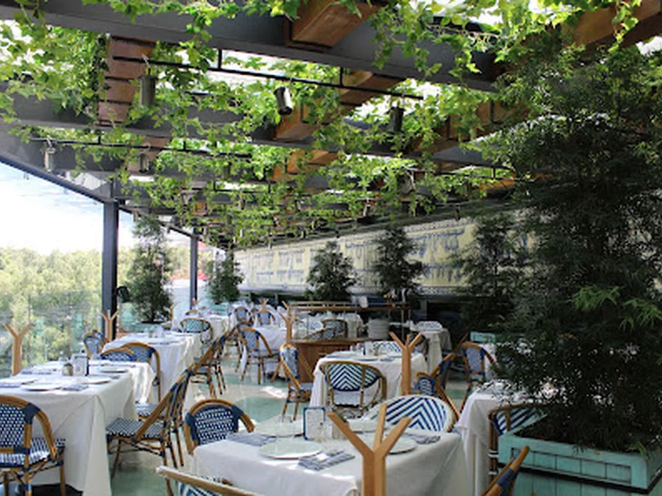 Alesia Mediterraneo, Ciudad de México