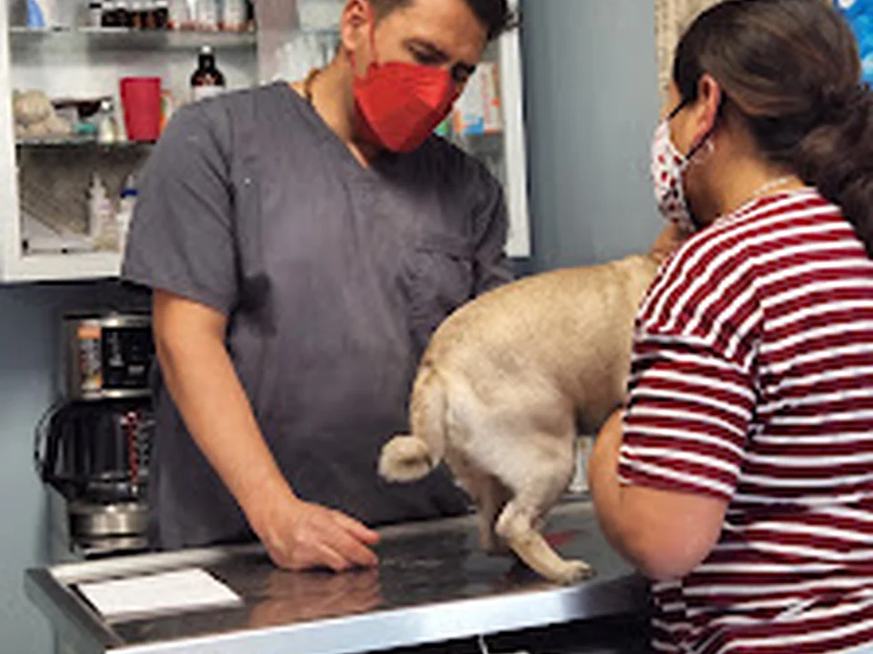 Centro Médico Veterinario, Ciudad de México