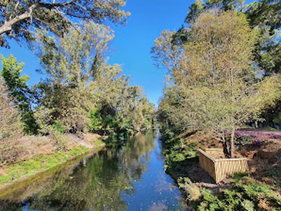 Bosque Urbano Canal Nacional, Ciudad de México