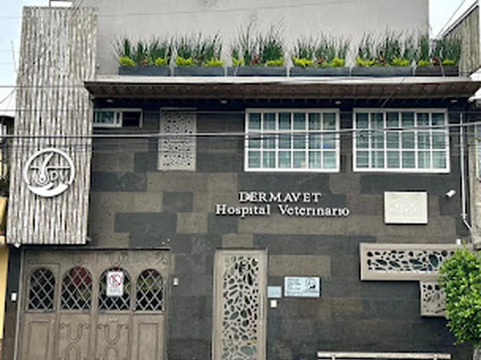 Hospital Veterinario DERMAVET, Ciudad de México