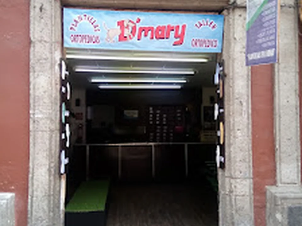Dinky Ortopédicos, Ciudad de México