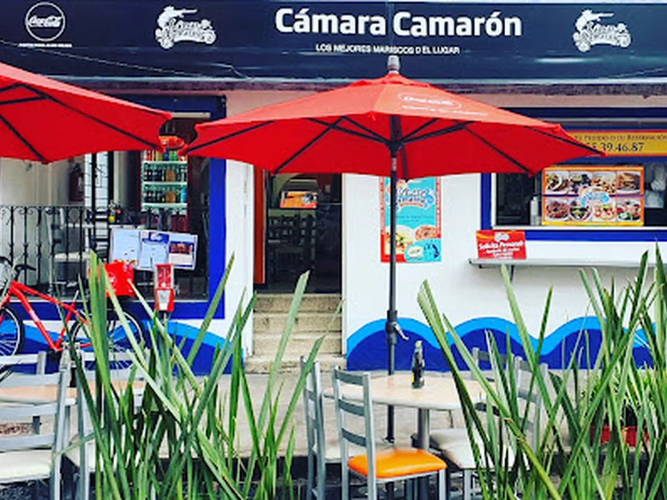 Cámara Camarón, Ciudad de México