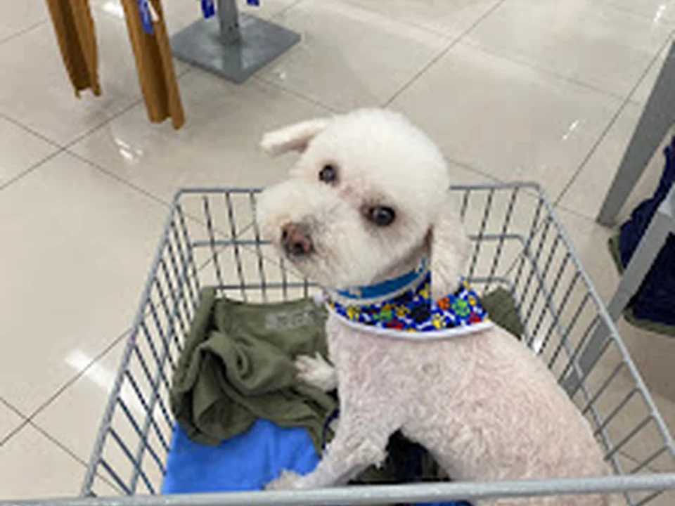 Veterinario “CONMEVET”, Ciudad de México