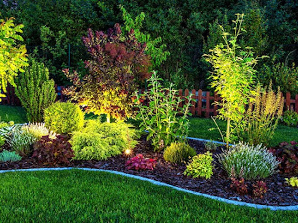 JARDINES VERTICALES MEXICO SUSTENTABLES SA DE CV, Ciudad de México
