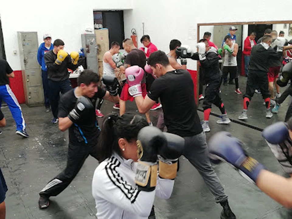 Romanza Gym, Ciudad de México