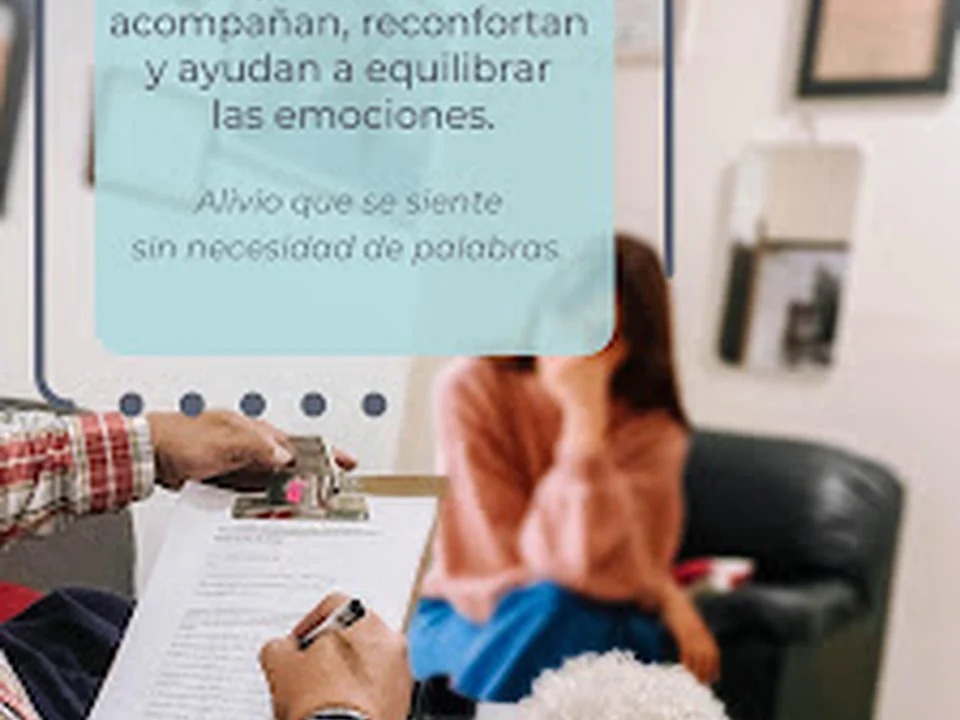 Psicoterapeuta Martin Jiménez, Ciudad de México