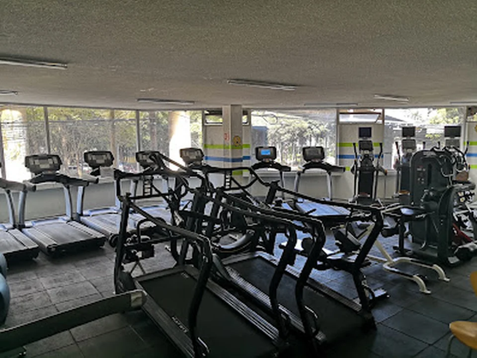 Egos Gym, Ciudad de México
