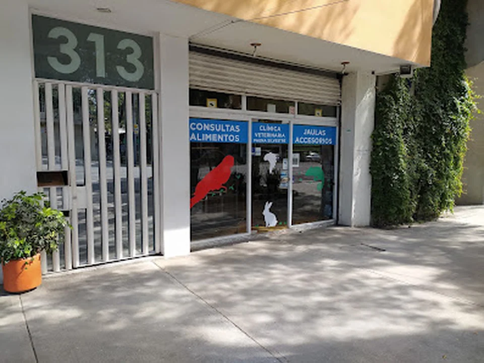 PICOS Y PLUMAS CDMX, Ciudad de México
