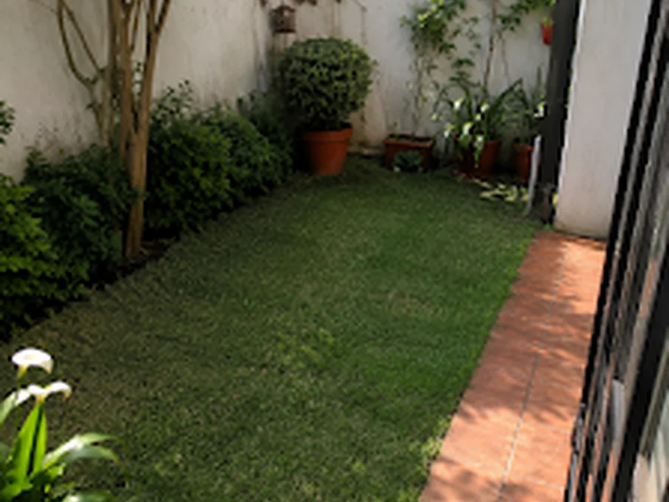 DM GARDEN, Ciudad de México