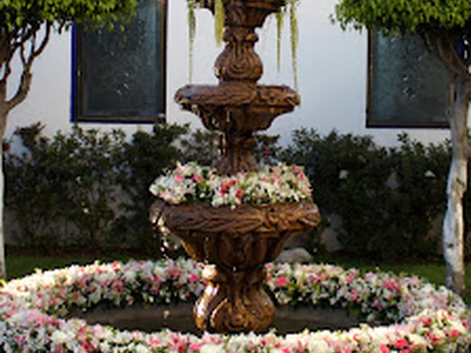 Eventos Luceros Coyoacán, Ciudad de México