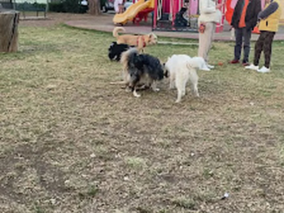 Parque Yolihuani, Ciudad de México