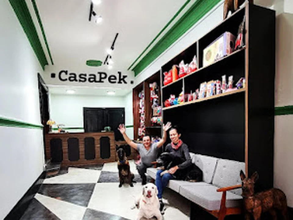 Casa Pek, Ciudad de México