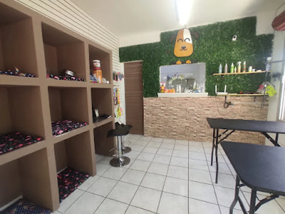 Estética Canina Huellitas, Ciudad de México