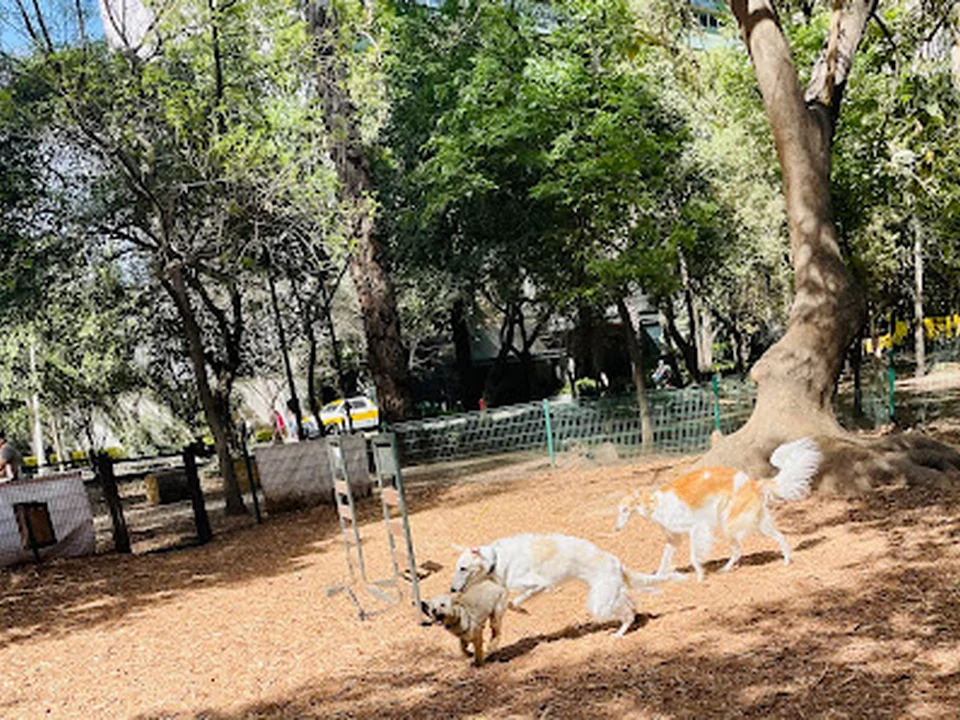 Parque Canino Gandhi, Ciudad de México