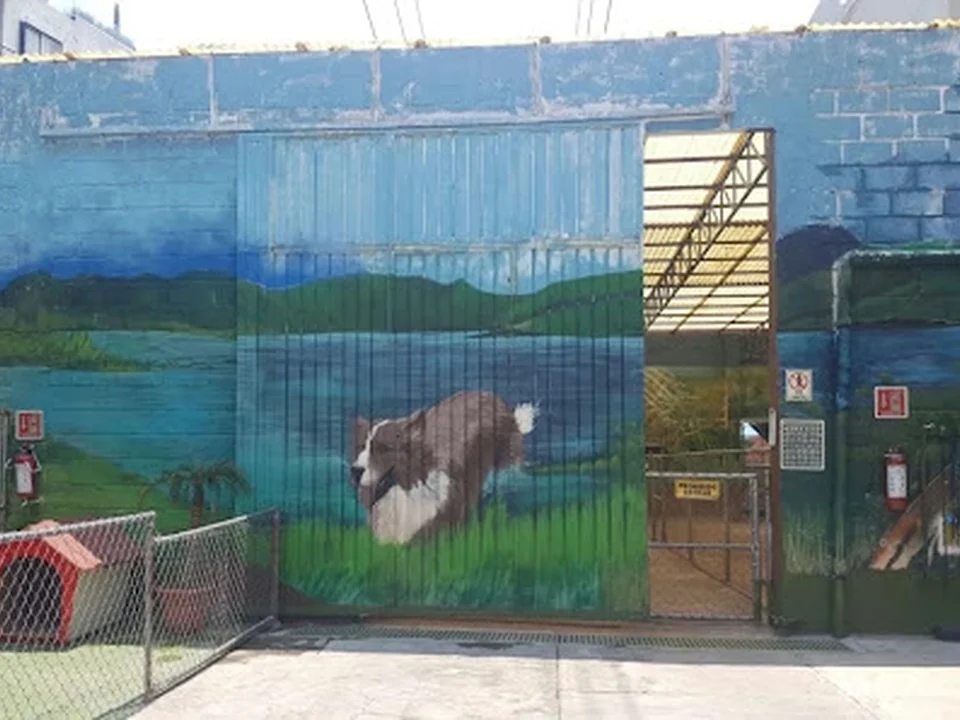 DISTRITO CANINO MÉXICO, Ciudad de México