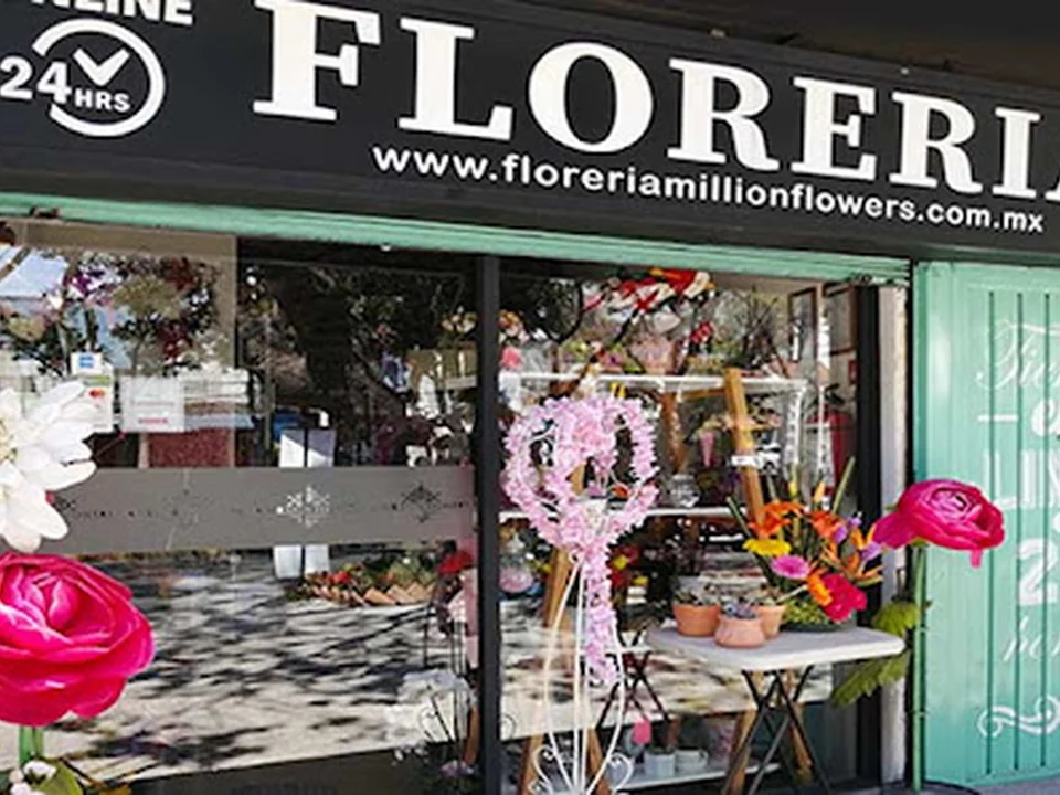 Florería A Million Flowers, Ciudad de México