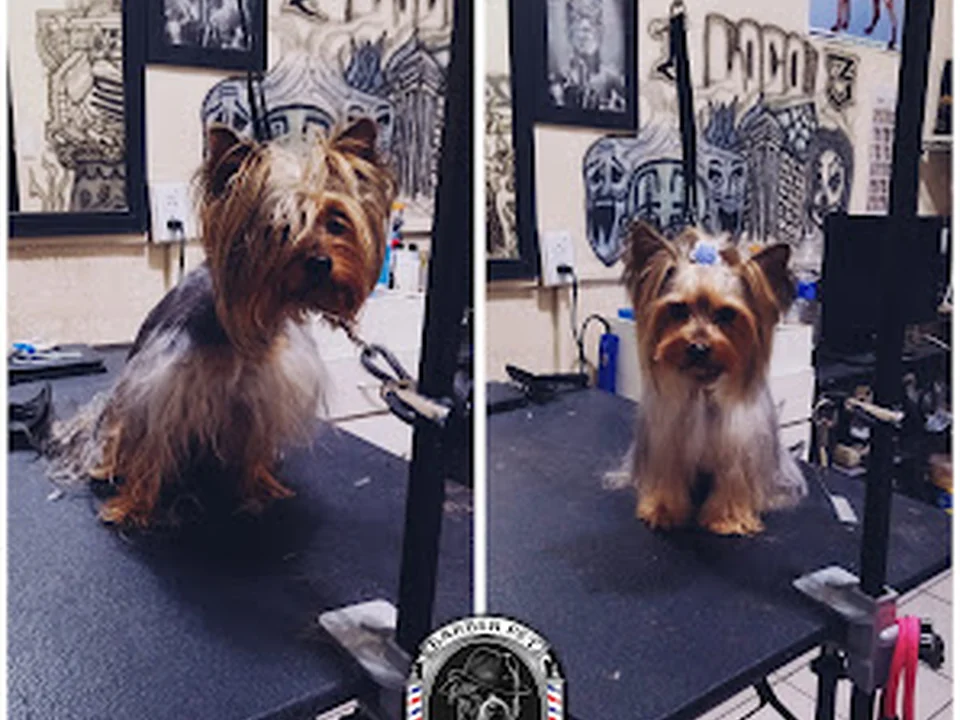 Estética para mascotas Barber Pet Grooming, Ciudad de México