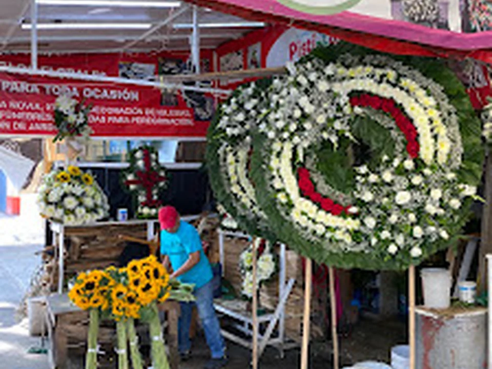 Floreria pistilos y petalos, Ciudad de México