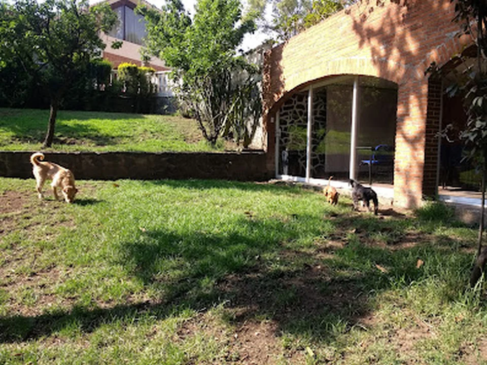 Hospedaje Canino, Ciudad de México