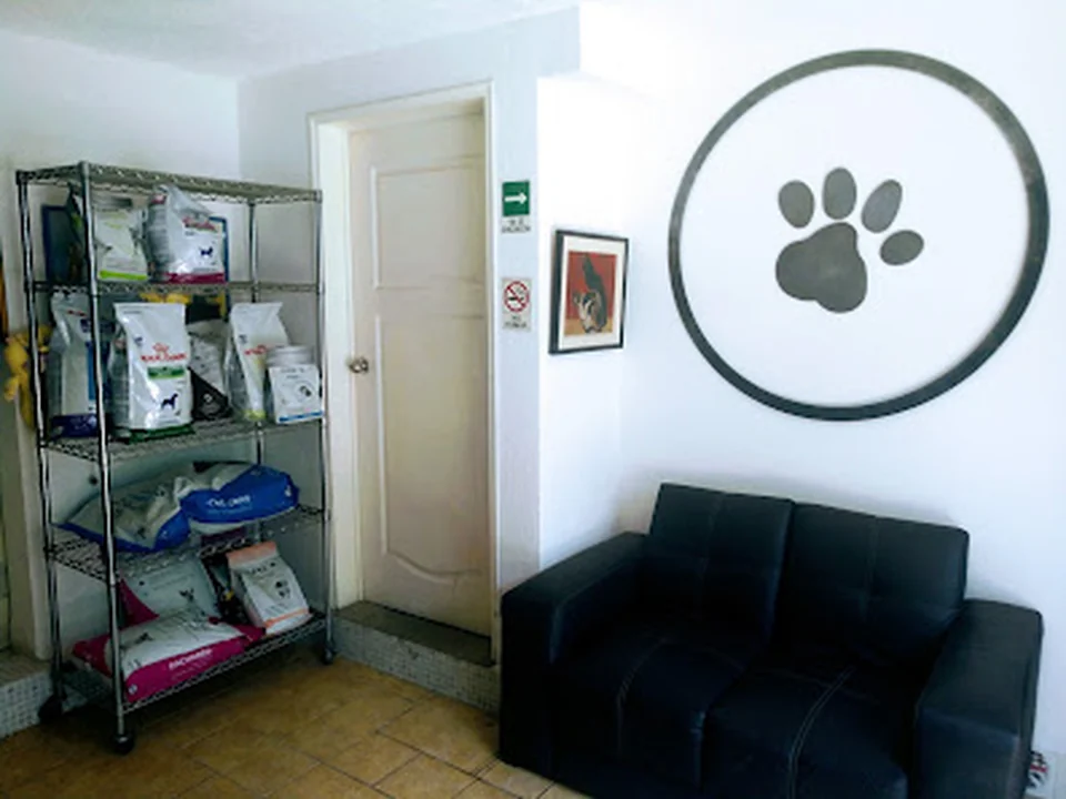 Hospital veterinario Círculo Azul, Ciudad de México
