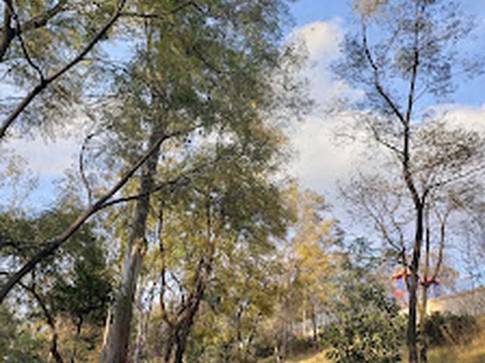 Parque perros, Ciudad de México