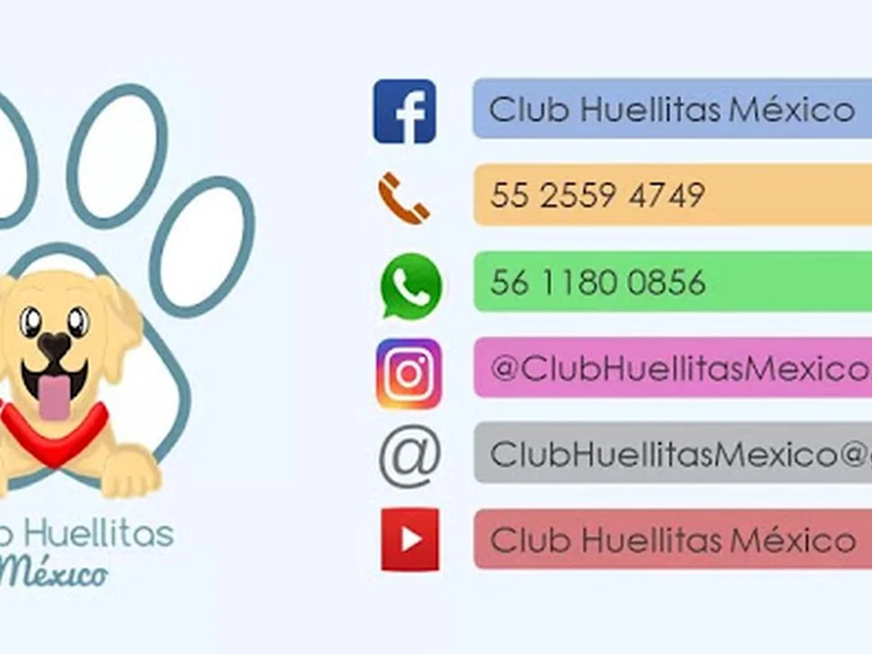 Club Huellitas México, Ciudad de México