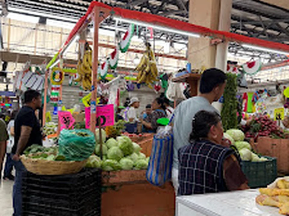 Mercado Hidalgo, Ciudad de México