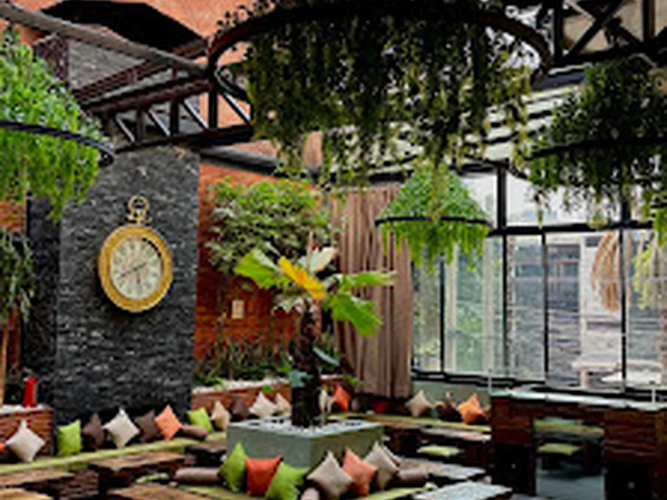 Terraza Roma, Ciudad de México