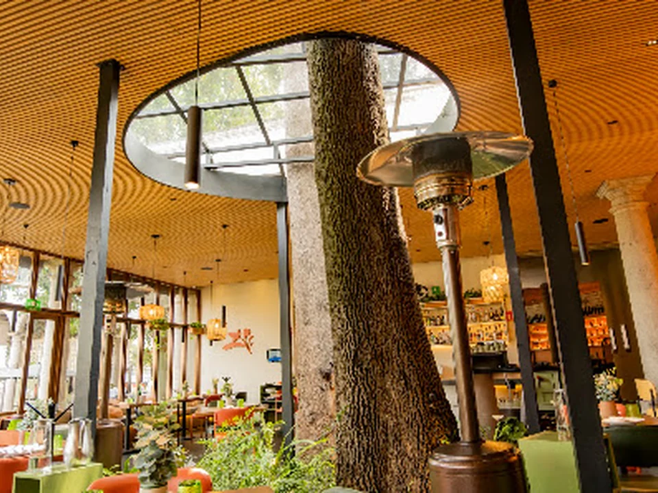 Fabia Cocina de Campo, Ciudad de México