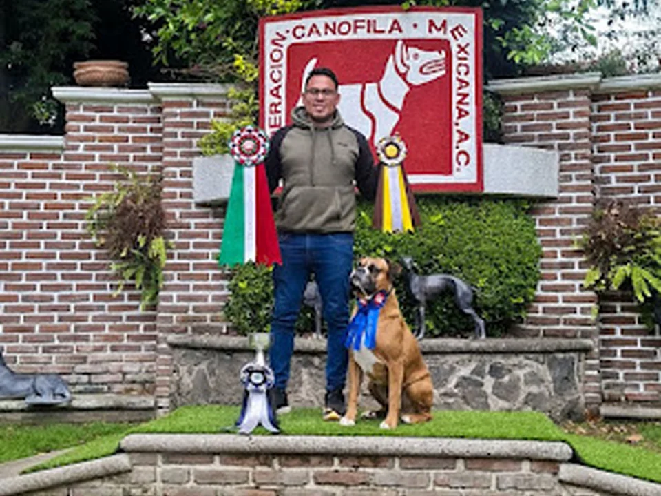 Adiestramiento canino NezaCan, Ciudad de México
