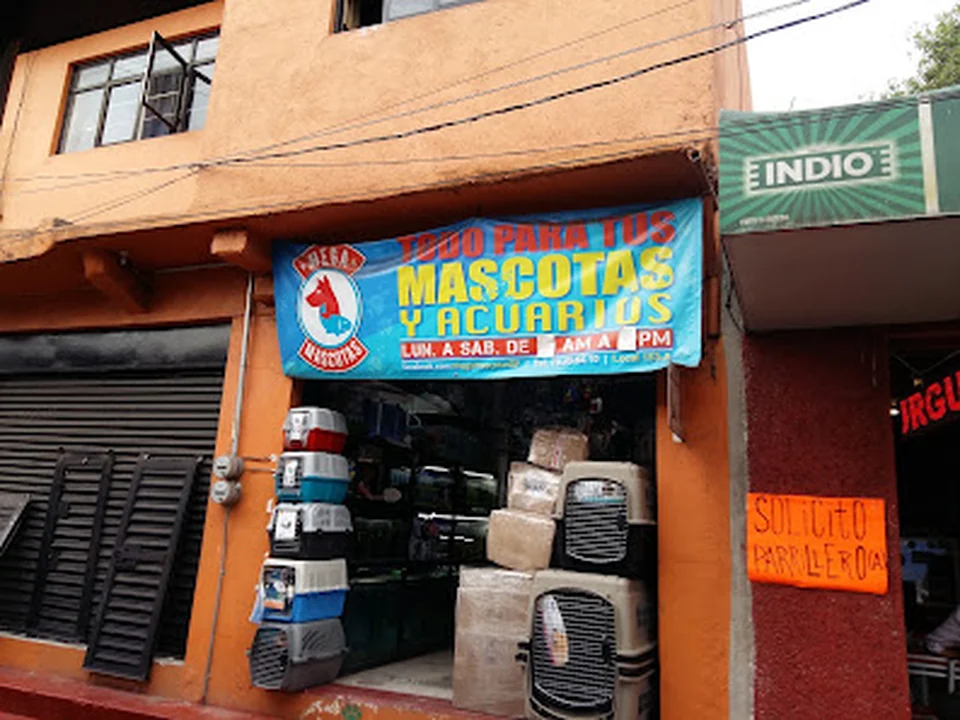 Mega Mascotas, Ciudad de México