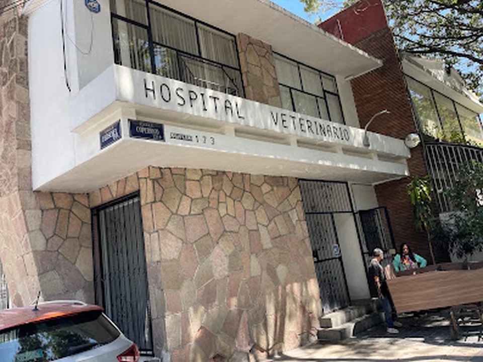 HOSPITAL VETERINARIO DARWIN, Ciudad de México