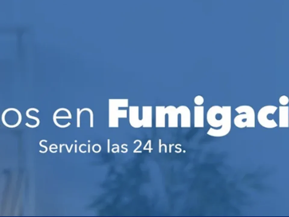 Fumigaciones y Control de plagas CDMX / Grupo Ultra, Ciudad de México